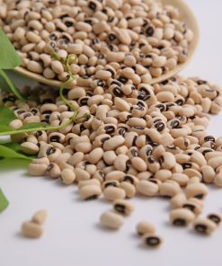 Đậu trăng bi Phú Minh Tâm