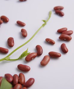 Đậu đỏ tây Phú Minh Tâm