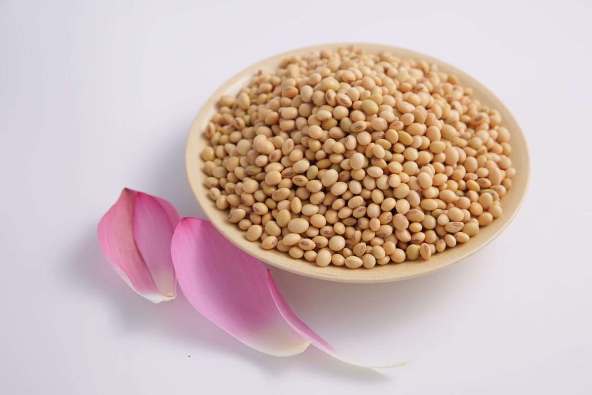 Thành phần dinh dưỡng có trong đậu nành