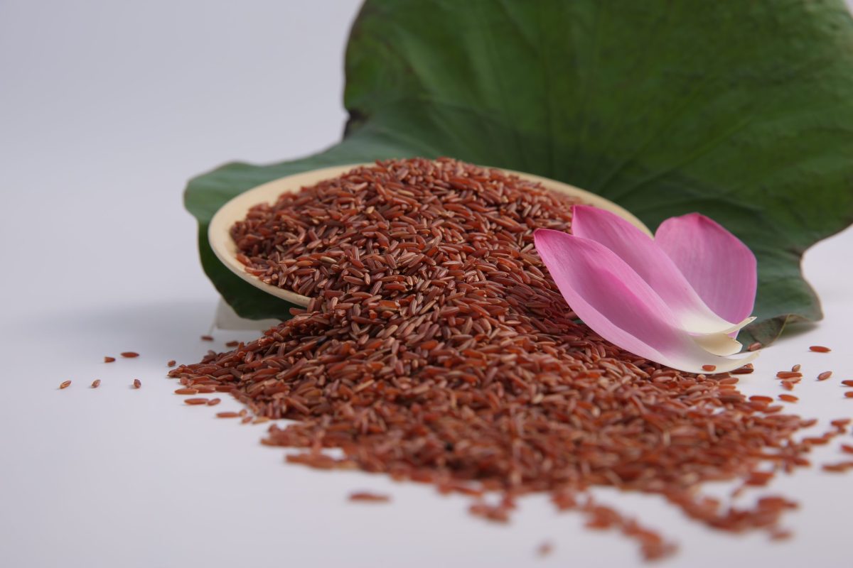 5 Lợi ích sức khỏe của gạo lứt huyết rồng 5 Lợi ích sức khỏe của gạo lứt huyết rồng