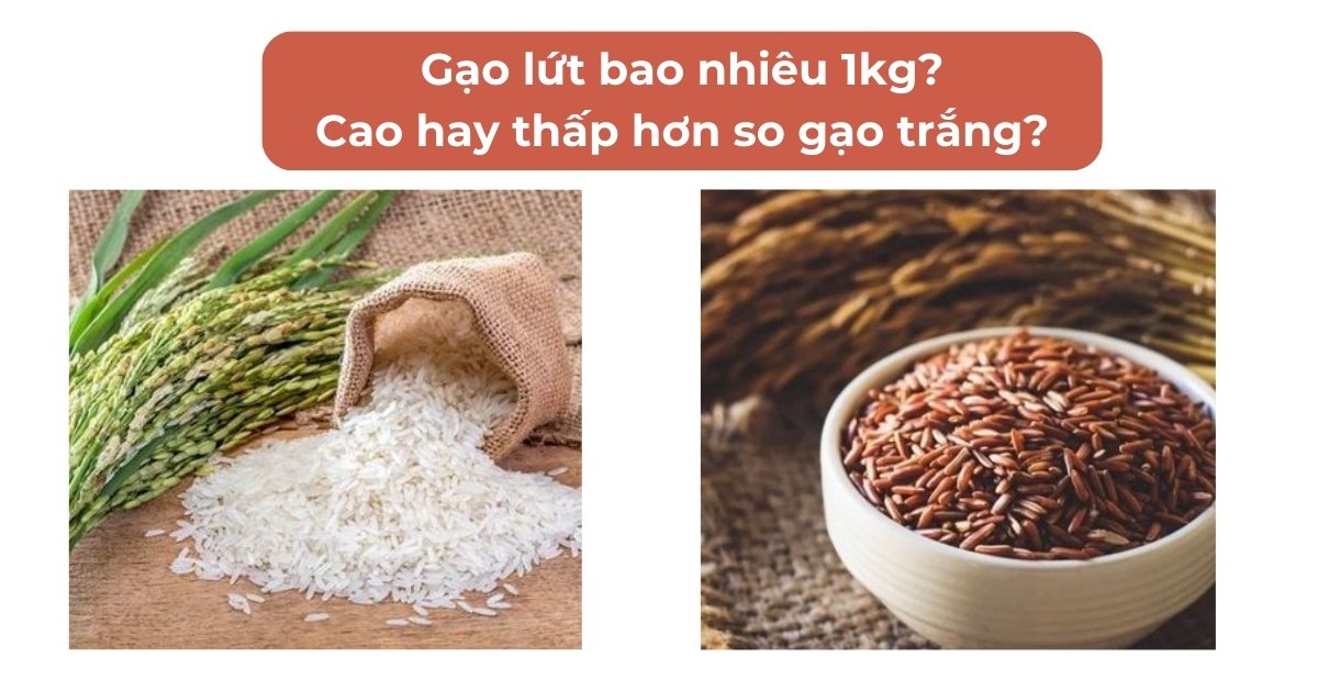 Giá gạo lứt cao hay thấp so với gạo trắng Giá gạo lứt cao hay thấp so với gạo trắng