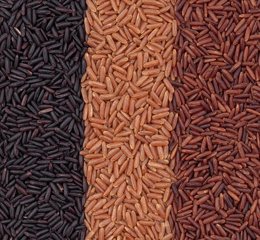 Gạo lứt đen, đỏ và huyết rồng Gạo lứt đen, đỏ và huyết rồng