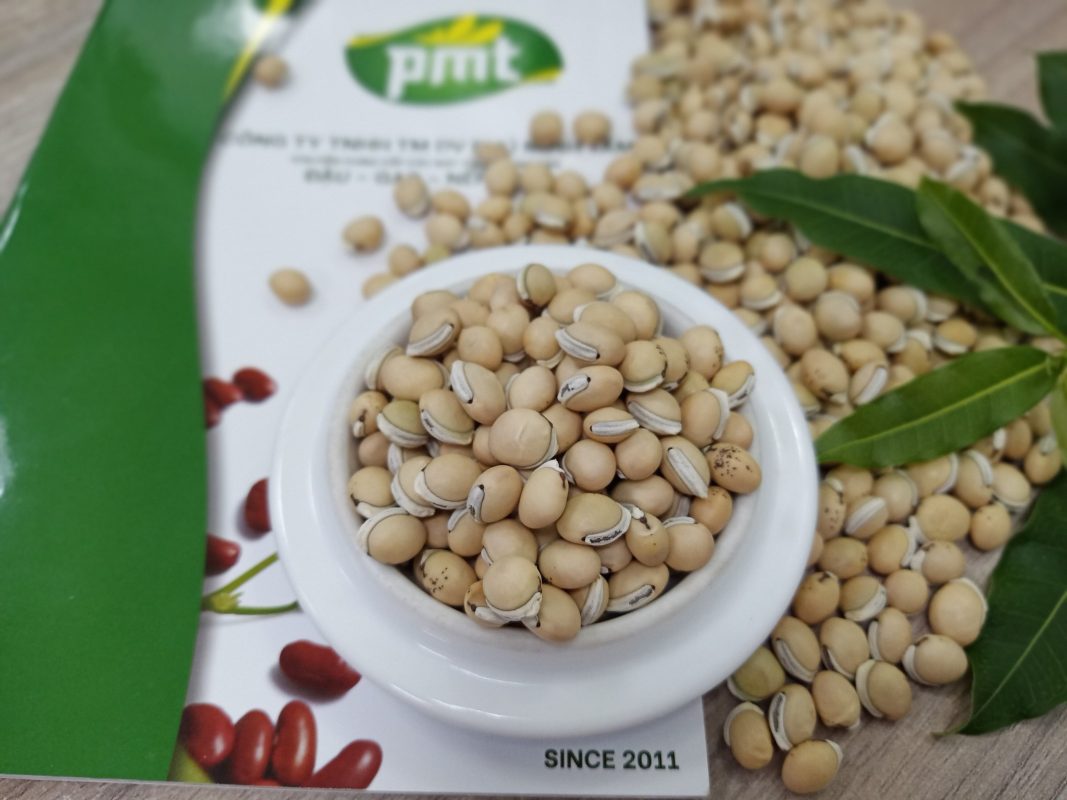 Đậu ván có hình tròn nhỏ, màu xanh hoặc vàng nhạt