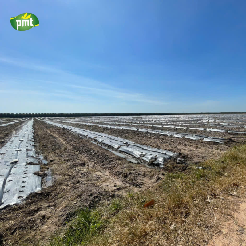 Hành trình về Tây Ninh nơi Phú Minh Tâm tìm thấy nguồn nguyên liệu sạch