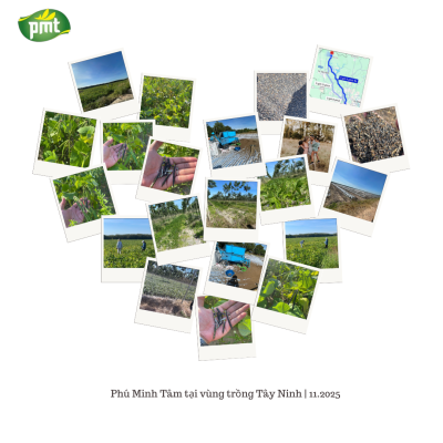 Hành trình về Tây Ninh