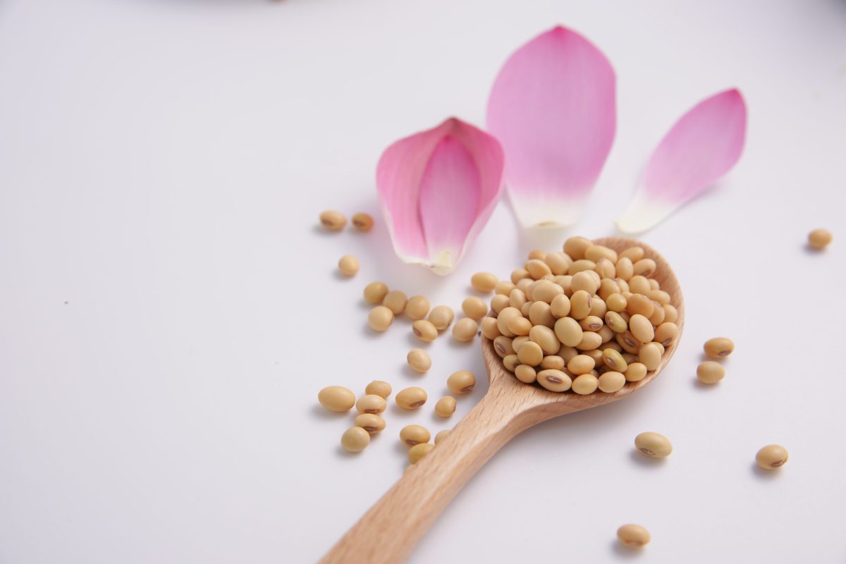 10 Lợi ích đang kinh ngạc của đậu nành mà không phải ai cũng biết